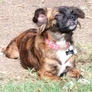 Meet your Posher, Colleen